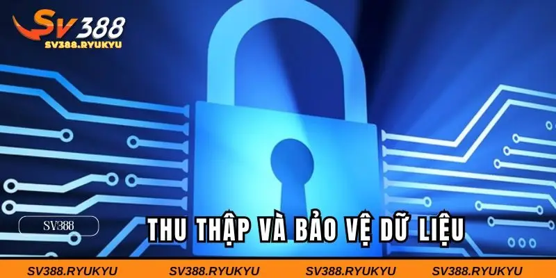 Chính sách bảo mật SV388 thu thập và bảo vệ dữ liệu 