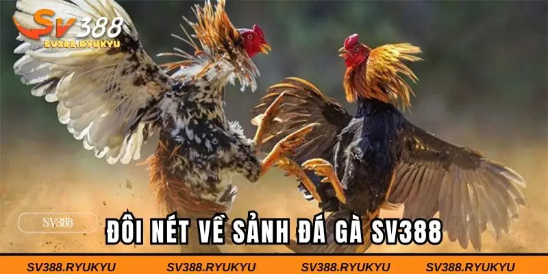 Đôi nét về sảnh đá gà SV388