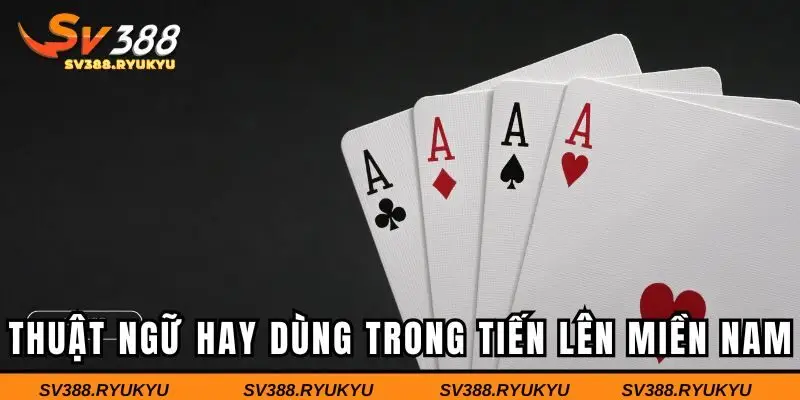 Những thuật ngữ hay dùng trong tiến lên miền Nam